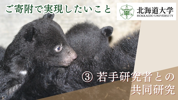 第2弾!世界のクマ研究最前線|人とクマが共に生きられる環境を未来へ 4枚目