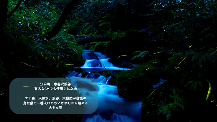 人口2600人のまち　奥大山　江府町にドライフラワーカフェを！ 4枚目