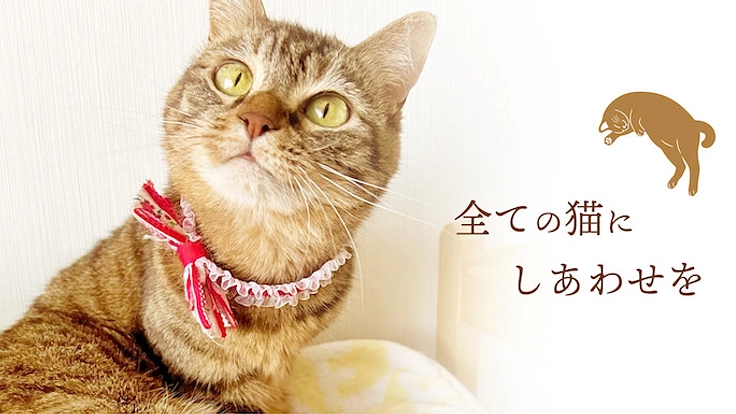 ラーメンの力で猫を助ける「保護猫ラーメンカフェ」を作ります！ 5枚目