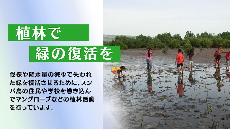 開発から取り残されたインドネシア・スンバ島の農村の人々を支援したい 5枚目