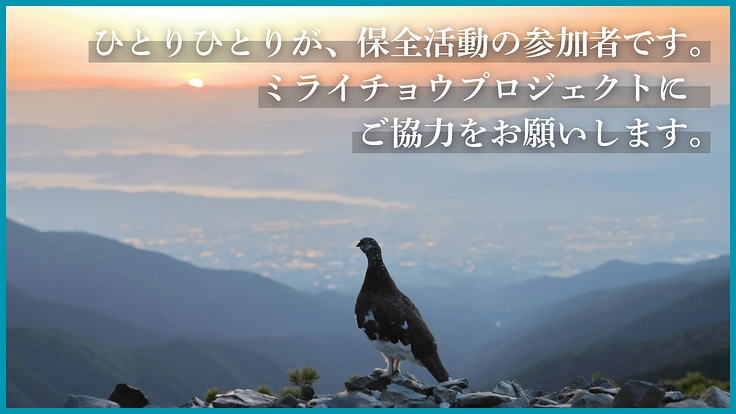 #みんなでつなぐライチョウの未来｜ミライチョウプロジェクト第二弾 5枚目