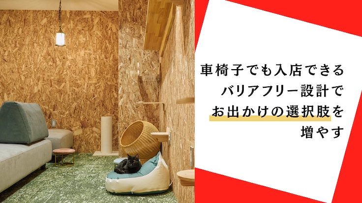 【存続に力を…！】チャンスが少ない成猫たちの保護猫カフェの再挑戦 4枚目