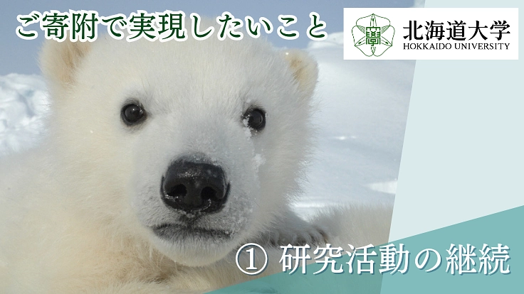 第2弾！世界のクマ研究最前線｜人とクマが共に生きられる環境を未来へ 2枚目