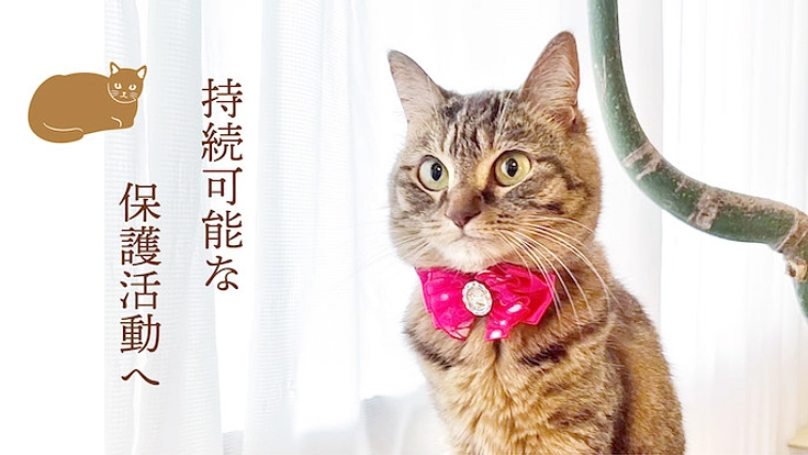 ラーメンの力で猫を助ける「保護猫ラーメンカフェ」を作ります！ 3枚目