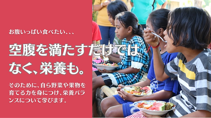 開発から取り残されたインドネシア・スンバ島の農村の人々を支援したい 3枚目