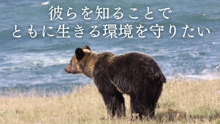 第3弾！世界のクマ研究最前線　地球の未来をクマの生態から読み解く 4枚目