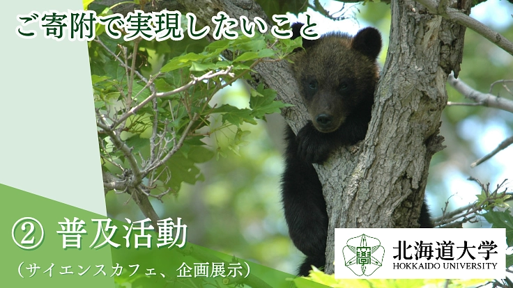 第2弾!世界のクマ研究最前線|人とクマが共に生きられる環境を未来へ 3枚目