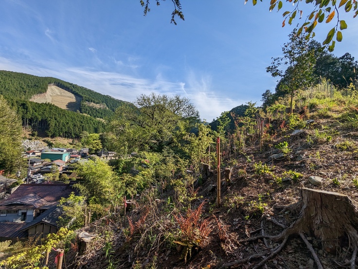 PXL_20230427_065617846 (1).jpg