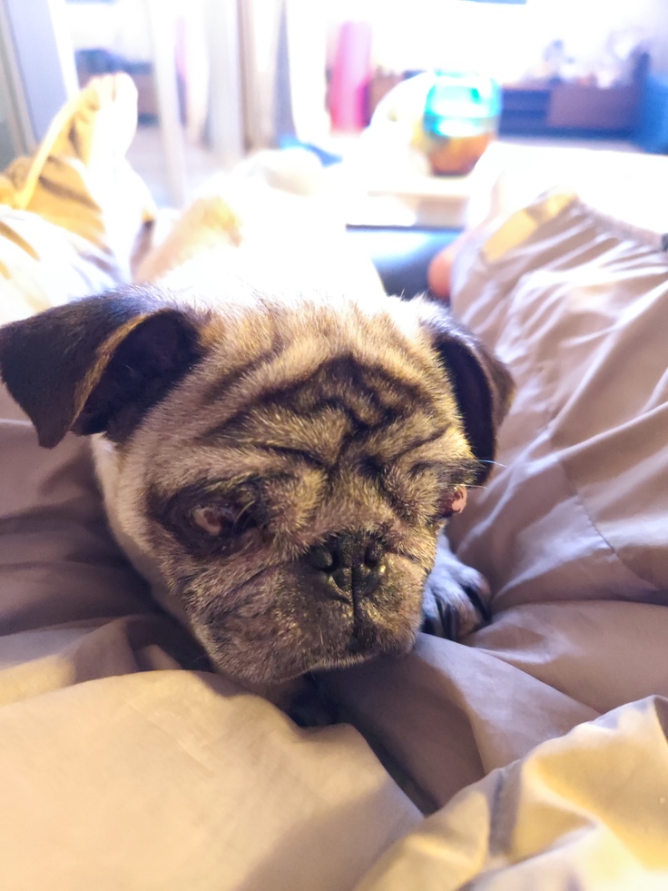 おはようございます🌻