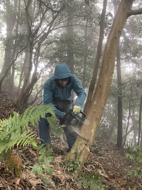 スクリーンショット 2023-06-07 12.56.31.png