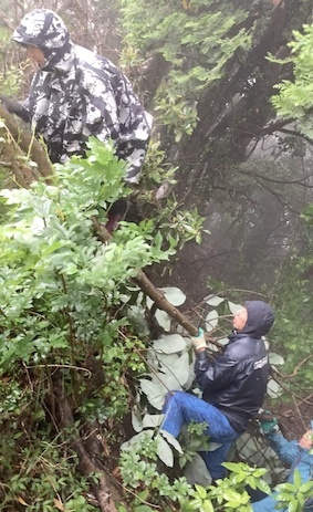 スクリーンショット 2023-06-06 16.48.18.png