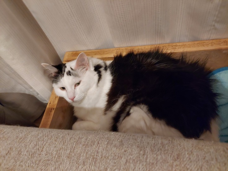 他の症状はなく、ご飯もよく食べて元気です。