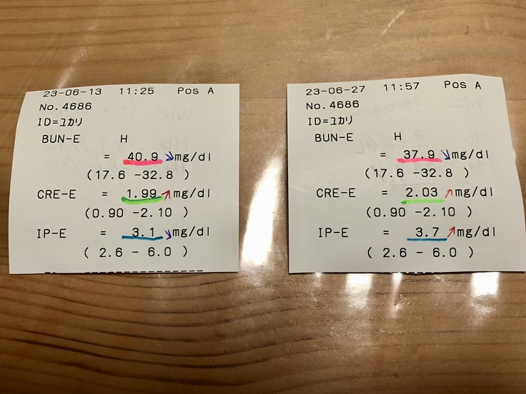 血液検査の結果です。手書きが貧血の結果です。