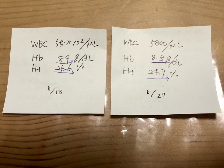 こちらが貧血の結果です