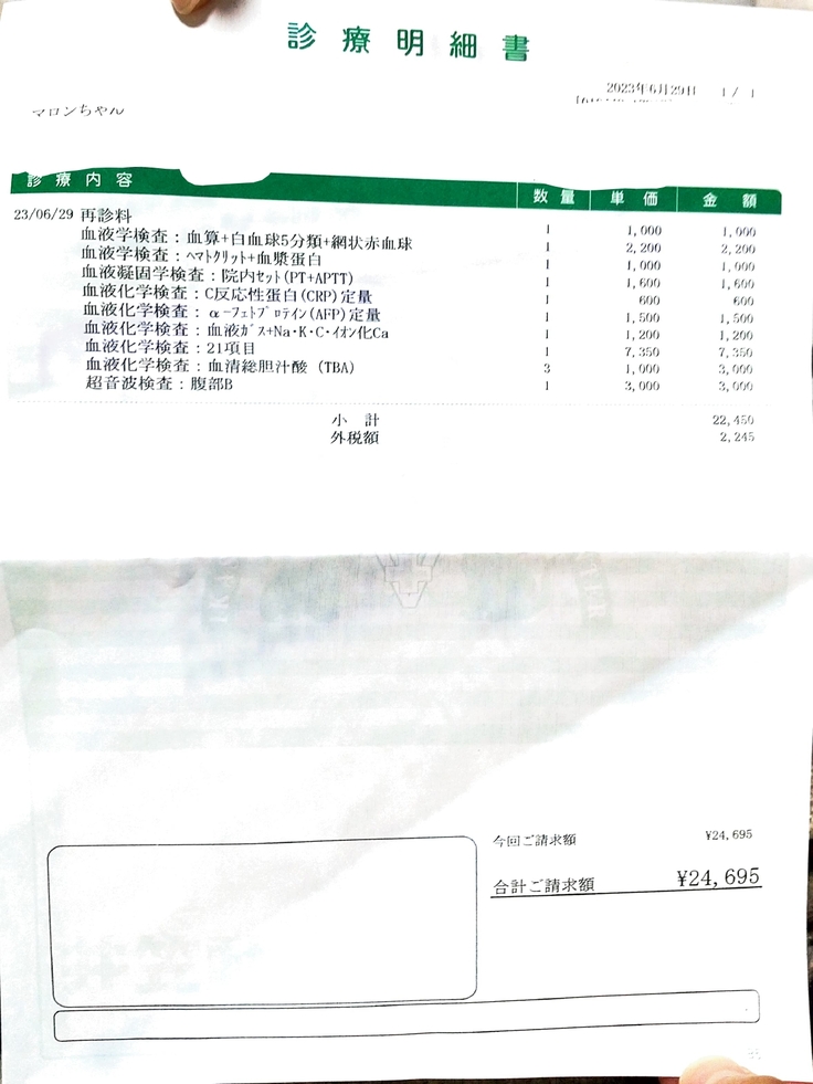 Adobe Scan 2023_06_29_コピー_page-0001.jpg