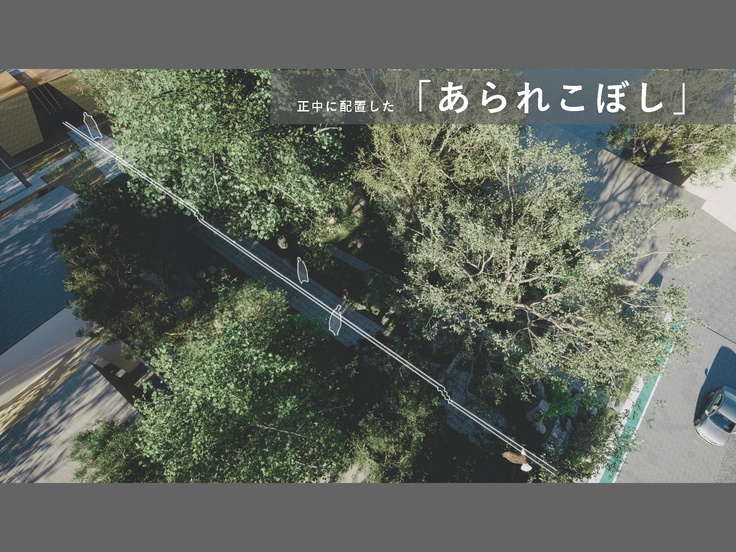 あられこぼしの正中線