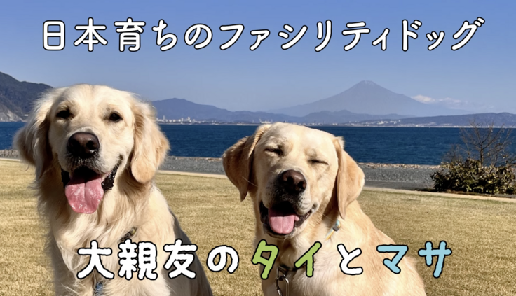 スクリーンショット 2023-07-03 10.05.02.png