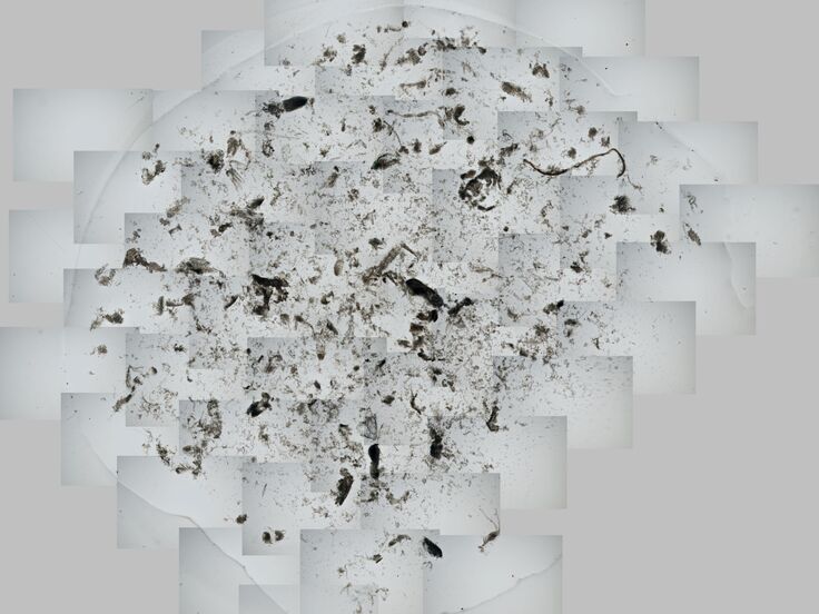 全体図加工済み - コピー.jpg