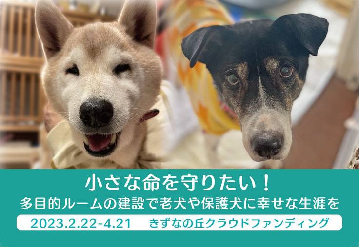 きずなの丘/大ちゃん／ケンタ