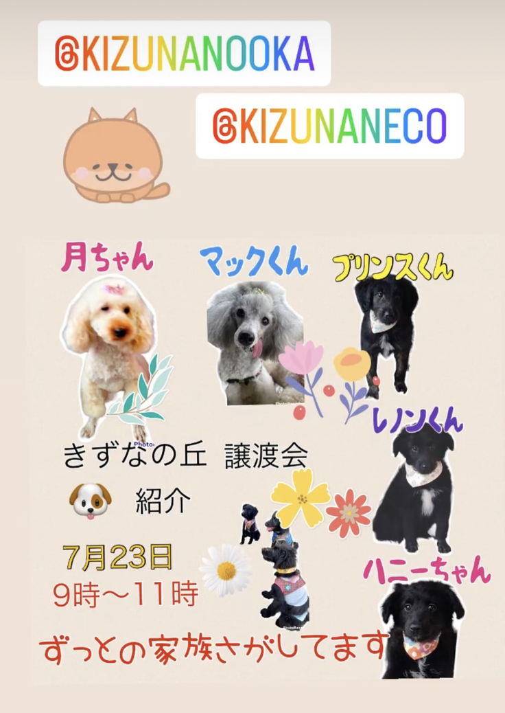 きずなの丘/譲渡会