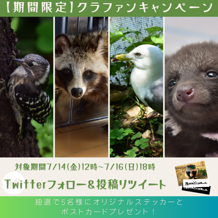 【期間限定】キャンペーンさむね (1).png