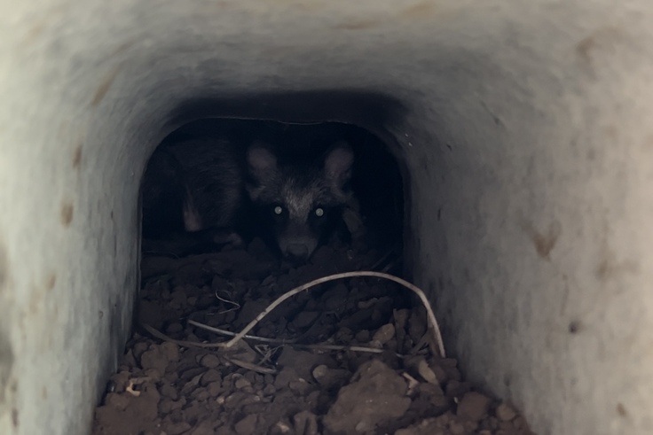 写真 2023-07-22 06.10.37 午後.jpg