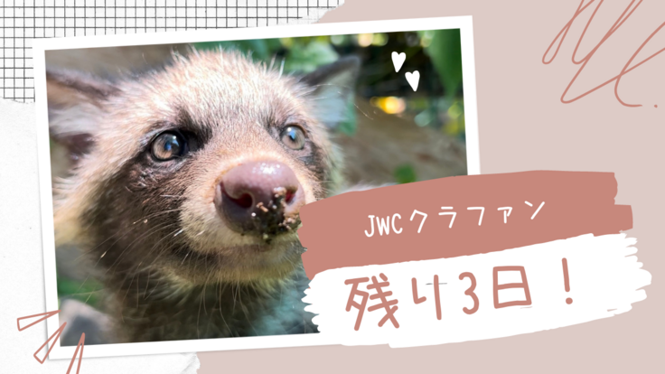 JWCクラファン.png