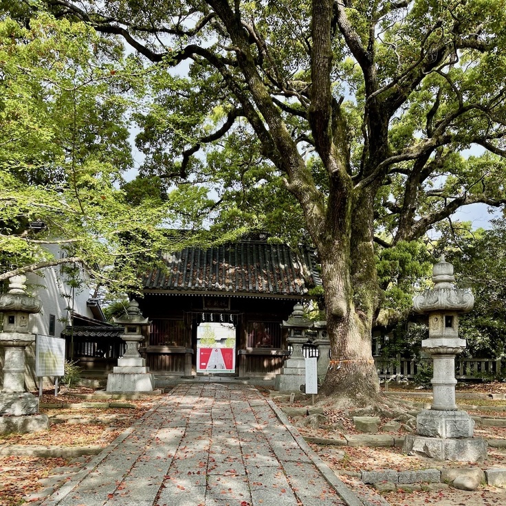 令和４年４月の表参道