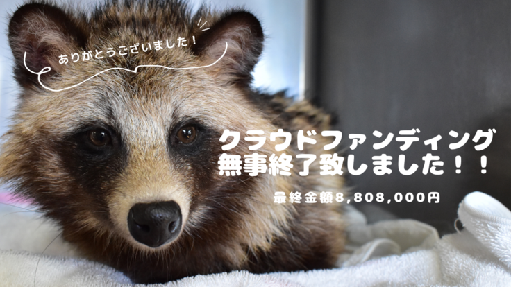 Weekend Routine!.png