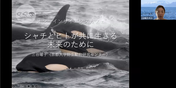 サイエンスカフェの映像