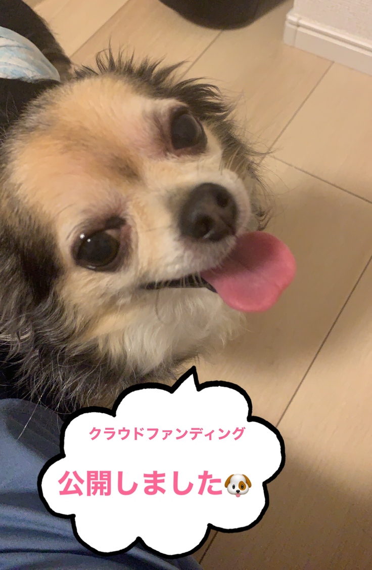 プロジェクト公開画像