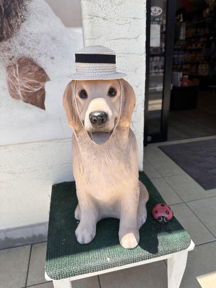 トリミングサロン　麦わら帽子