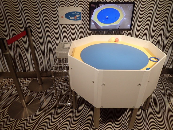 P8071389 - コピー.JPG