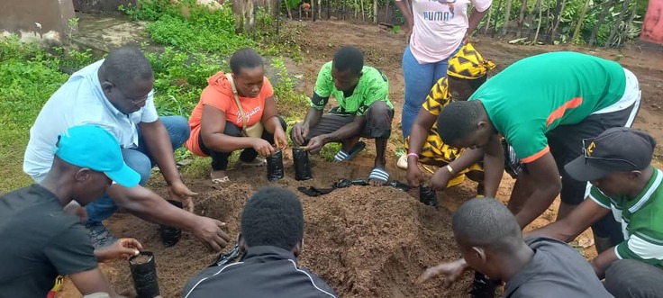 堆肥作りと種まきの準備