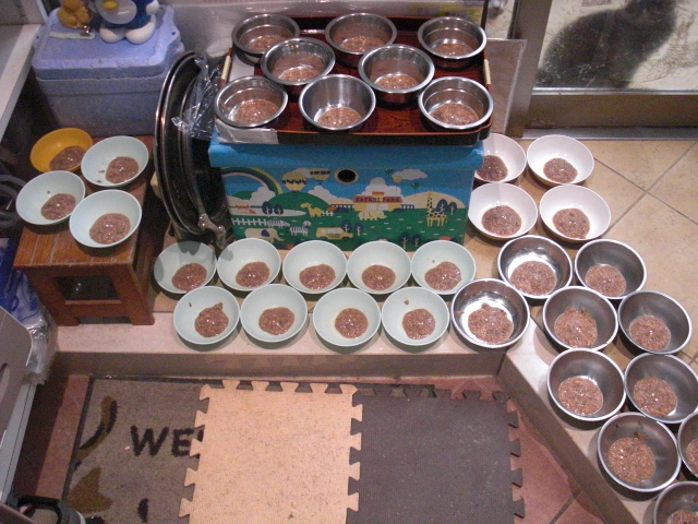 薬を入れたウェットフード35椀