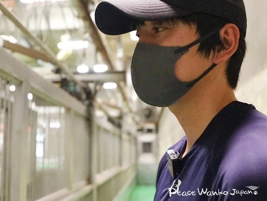 保護犬を迎えることと、いま一緒に暮らしている子やこれから迎える子を最期まで幸せにすること。この2つが当たり前になるようにしたい、と語るピースワンコ・ジャパン プロジェクトリーダーの安倍誠