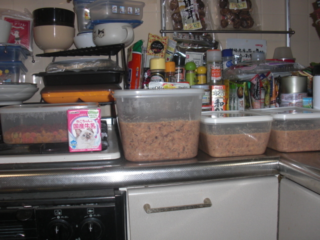 ウェットフード