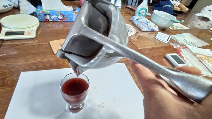 生絞りジュース