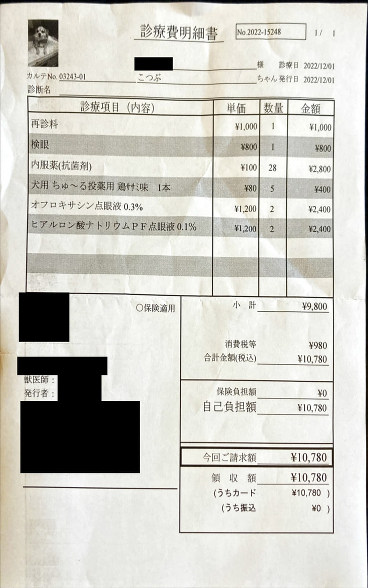 診療費明細書（動物病院）221201_1.jpg