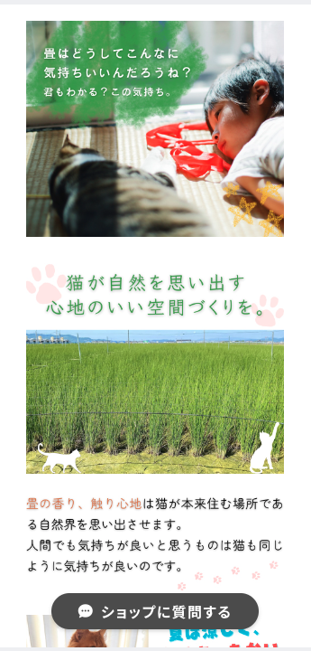 NIHONT商品ページ