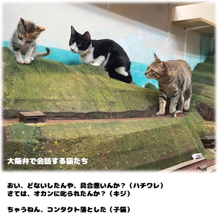 おい、だいじょうぶか？心配事でもあるんか？