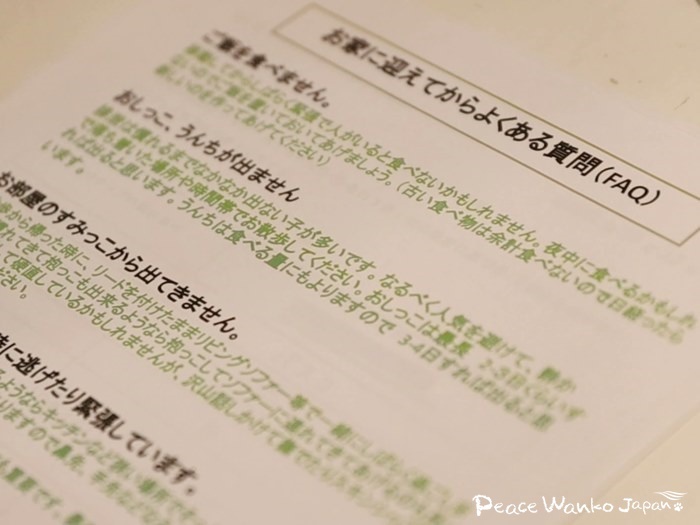 保護犬が安心して暮らせるように、事前に里親様と一緒に様々な準備を整えます。