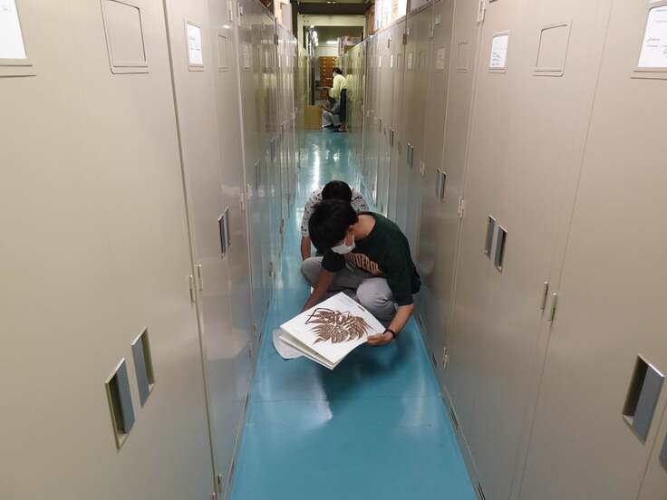 MicrosoftTeams-image (3).png