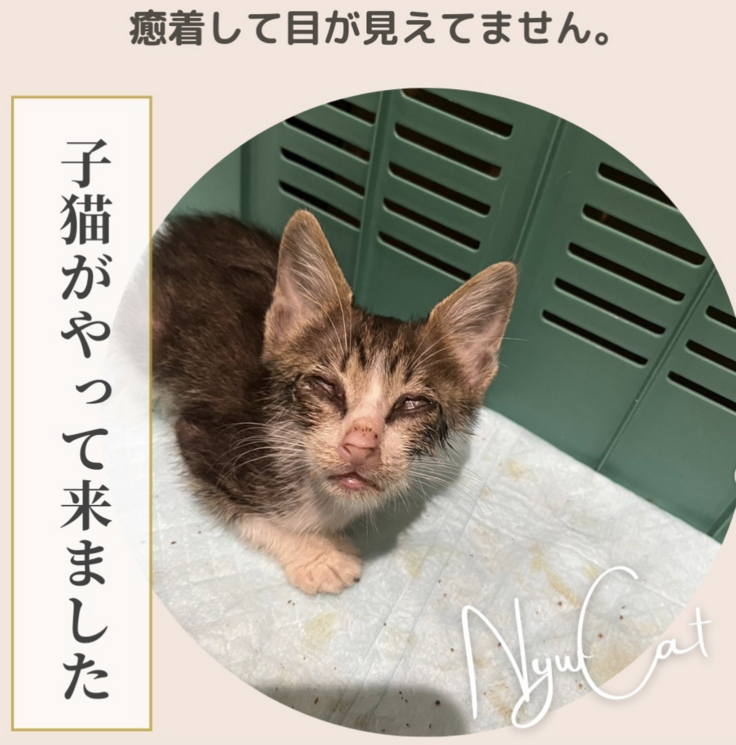 スクリーンショット 2023-10-05 0.00.37.png