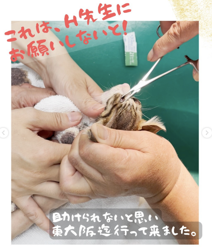 スクリーンショット 2023-10-04 23.59.55.png