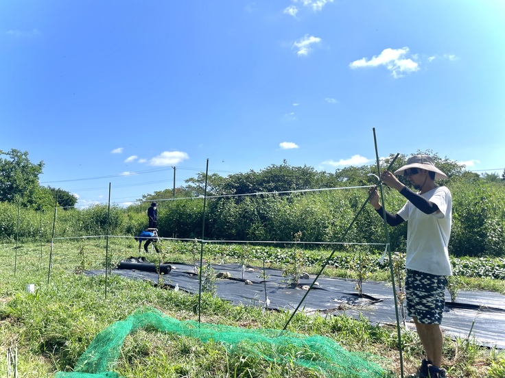 獣害対策ネット貼り作業の様子