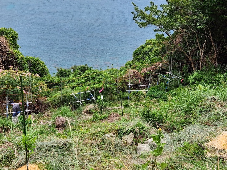 レモンの植え付け頑張りました！