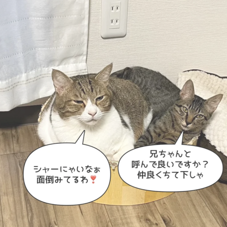 スクリーンショット 2023-10-12 18.52.59.png