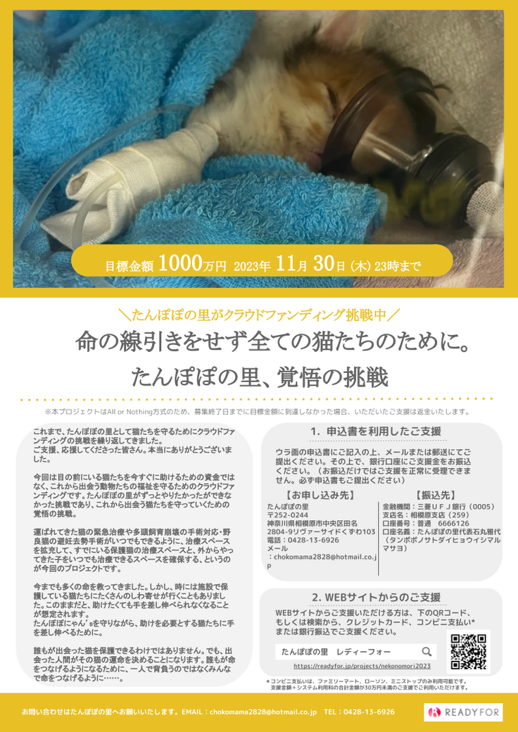 thumbnail_【石丸雅代（ねこの杜｜たんぽぽの里）様】簡易チラシ案 （All or Nothing用）.png