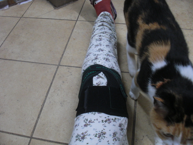 美晴左膝サボーター